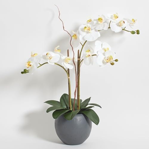 An elegant 25-inch tall CG Hunter faux white orchid plant in a grey pot. Close-up of the realistic sculptural blooms and green foliage of an artificial orchid. The zero-maintenance premium artificial indoor flower display adding sophistication to a living room.